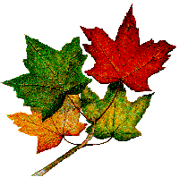 4 leaves