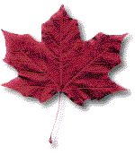 red leaf