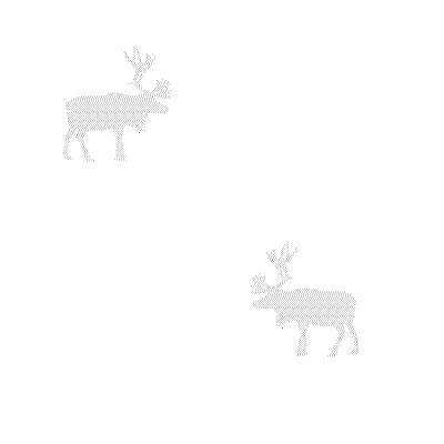 moose