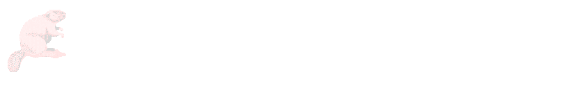 Beaver border6