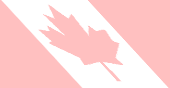 background5