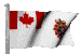 Canadian Military