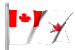 Canadian Army