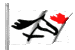 Canadian Equestrian