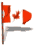 Canadian Flag