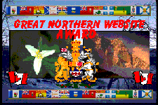 Great Northern Website Award