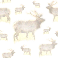 background sample