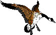 geese15
