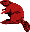 graphic34