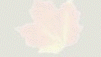 background2