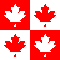leaf1