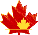 leaf11