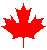 leaf2