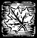 leaf20