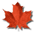 leaf22