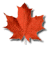 leaf24