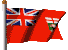 Proud Canadian