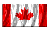 Ripple flag