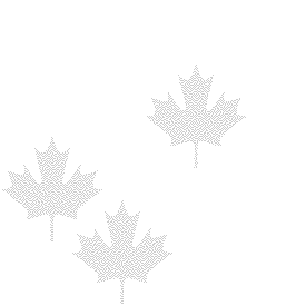 background8