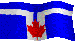 Toronto small